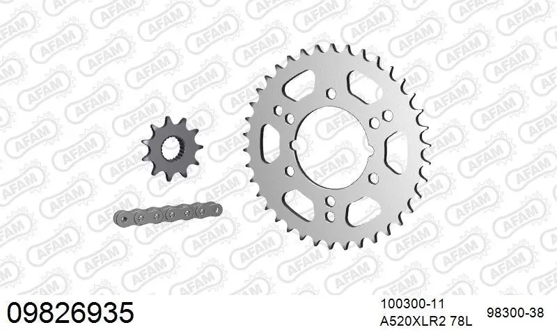 AFAM Chainset - Steel