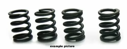 Tourmax Clutch Springs Set HSP-301-4