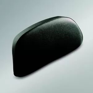 Suzuki Backrest 37L