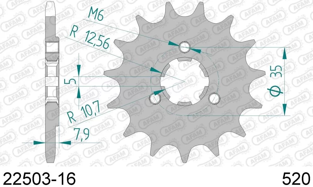 AFAM Sprocket Front 16T - 520