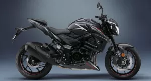 Suzuki Sticker Set Silver/Transparent GSX-S 750 (17-)