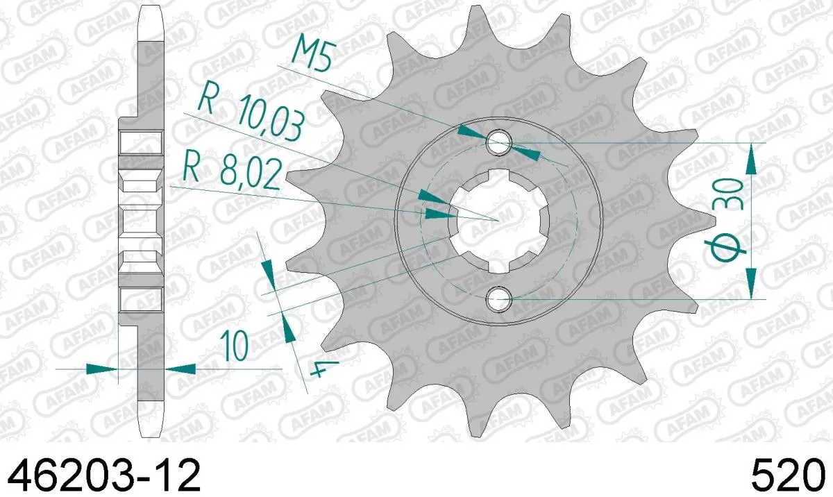 AFAM Sprocket Front 12T - 520