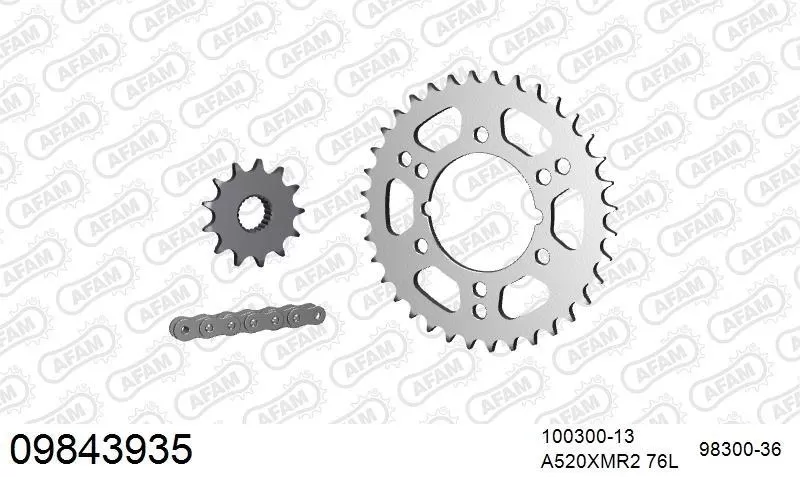 AFAM Chainset - Steel