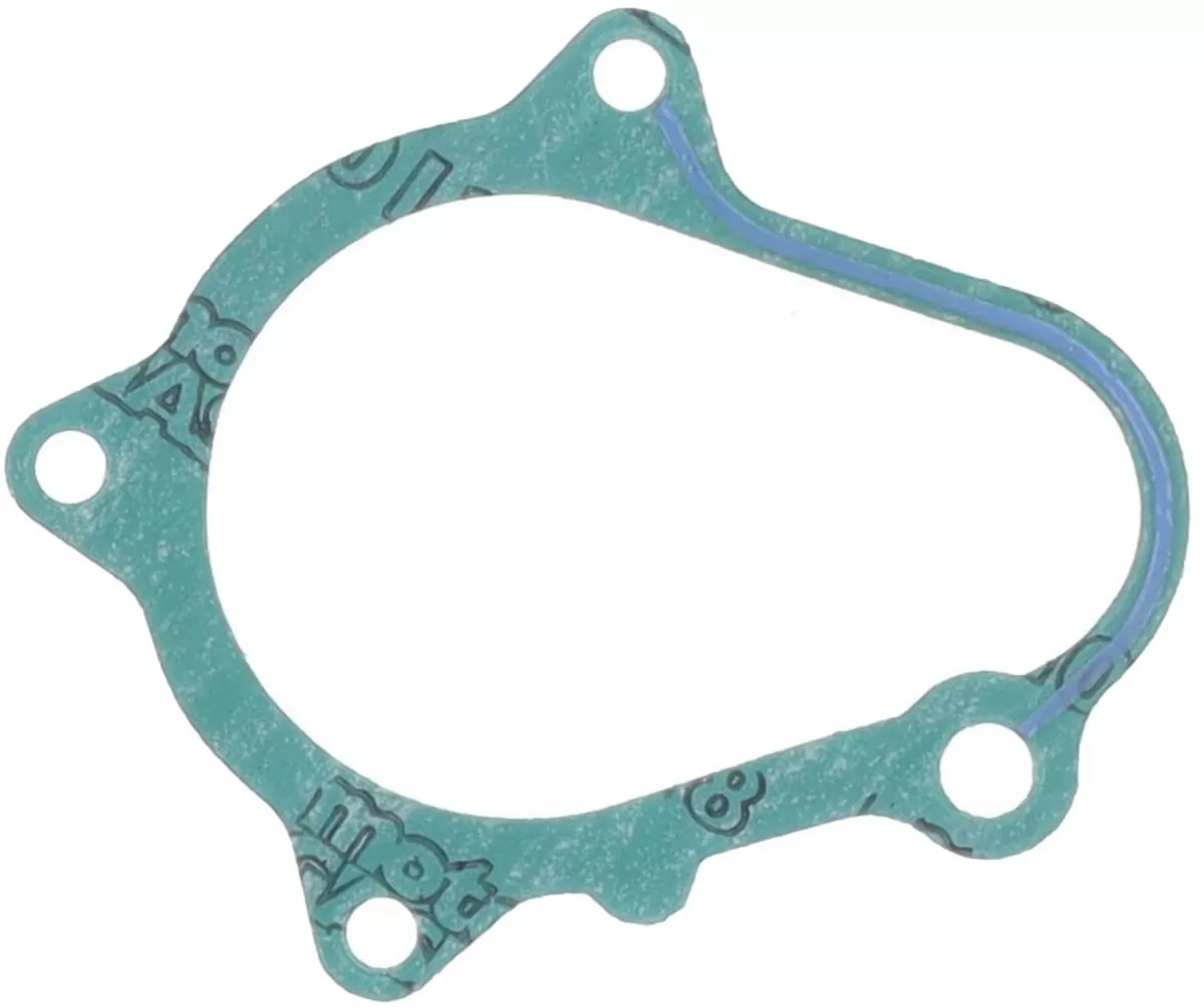 Athena Generator Side Gasket S410485021100