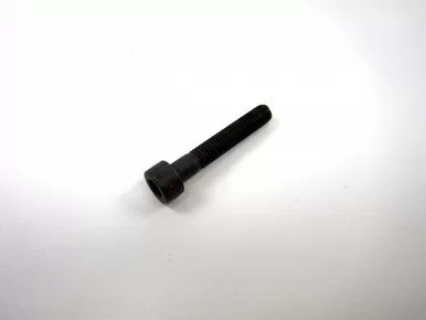 Screw, M5 x 30, Countersunk (Csk), Socket (Skt), Encapsulated (Enc)