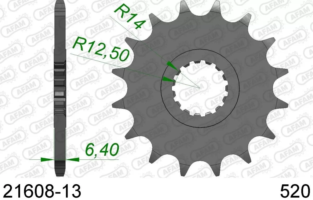 AFAM Sprocket Front 13T - 520