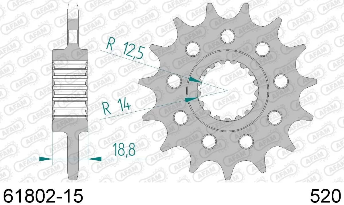 AFAM Sprocket Front 15T - 520