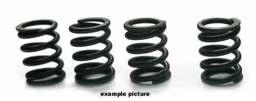 Tourmax Clutch Springs Set HSP-302-4