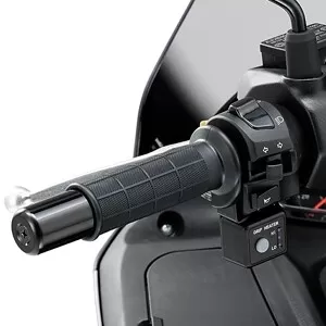 Suzuki Heated Grips Burgman 125/200