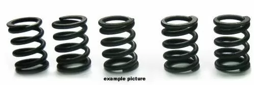 Tourmax Clutch Springs Set HSP-407-5