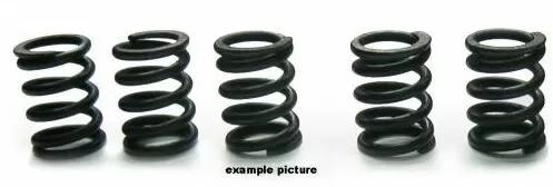 Tourmax Clutch Springs Set HSP-207-5