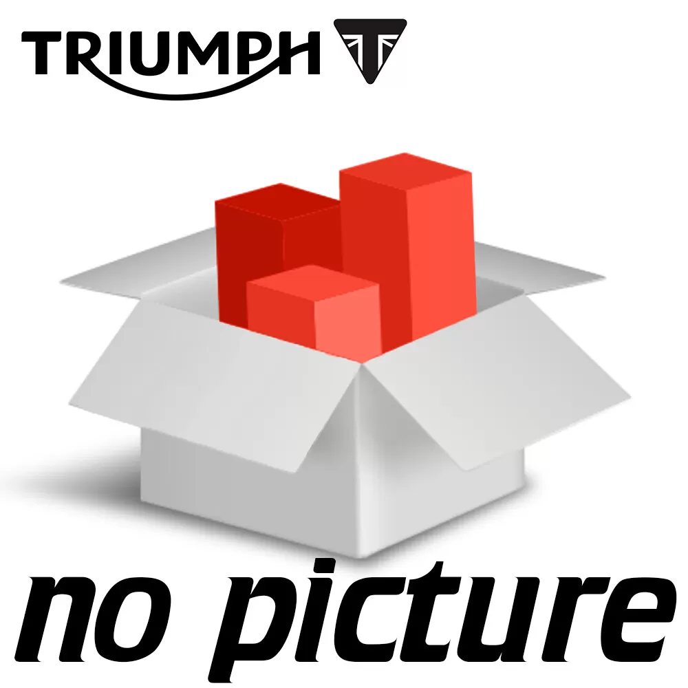 Triumph Right Footpeg T2087761