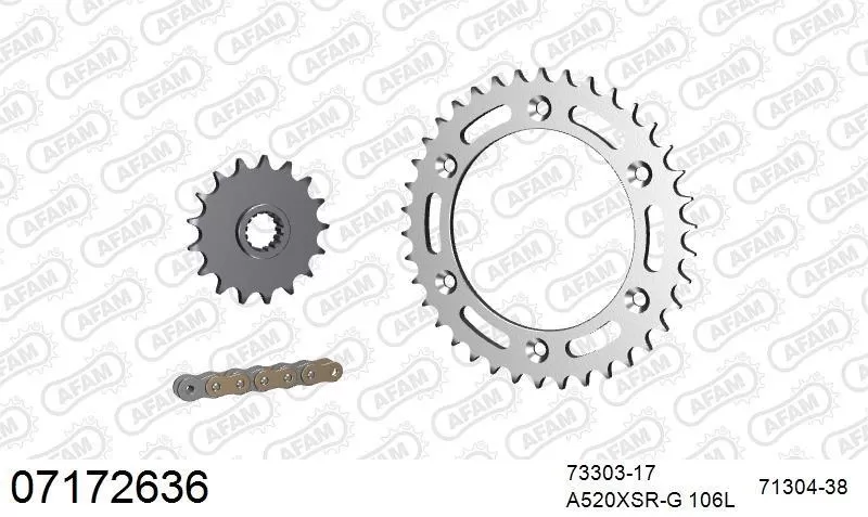 AFAM Chainset - Steel