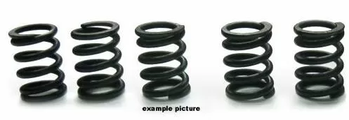 Tourmax Clutch Springs Set HSP-406-5