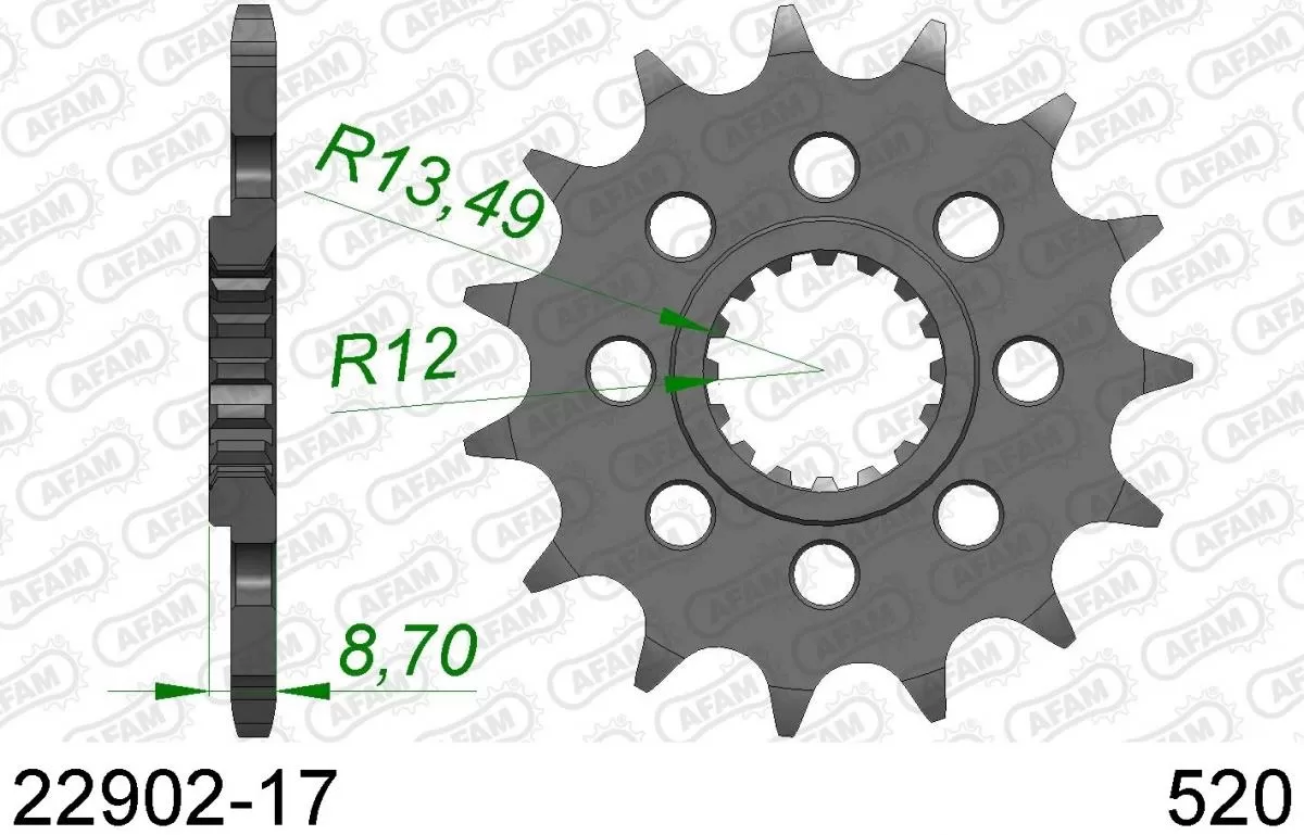 AFAM Sprocket Front 17T - 520