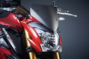 Suzuki Carbon Display Cover GSX-S 1000 (15-)