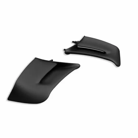 Pair of Plastic Wings