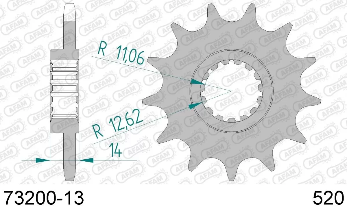 AFAM Sprocket Front 13T - 520