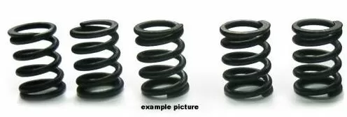 Tourmax Clutch Springs Set HSP-105-5