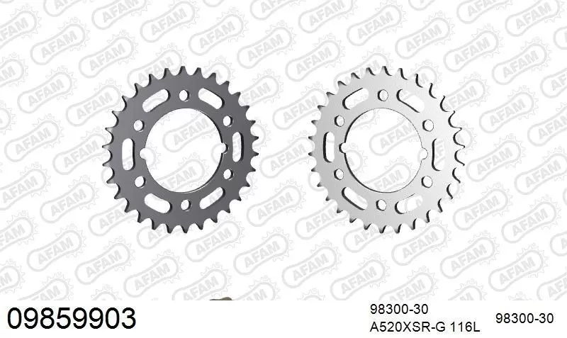 AFAM Chainset - Steel