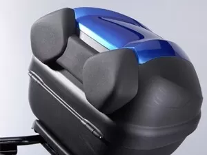 Suzuki Passenger Backrest Address 110 / Gladius 650