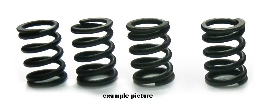 TourMax Clutch Springs Set HSP1134