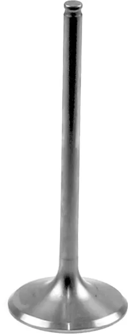 Athena Titanium Intake Valve VI-210205T