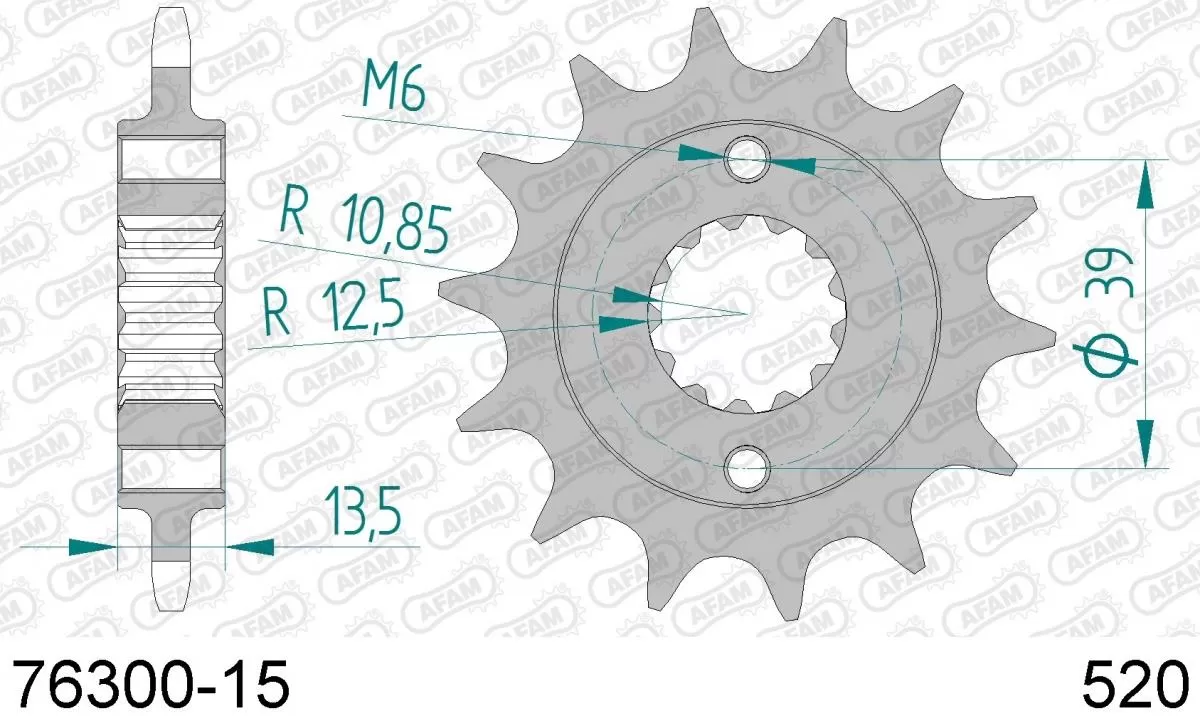 AFAM Sprocket Front 15T - 520