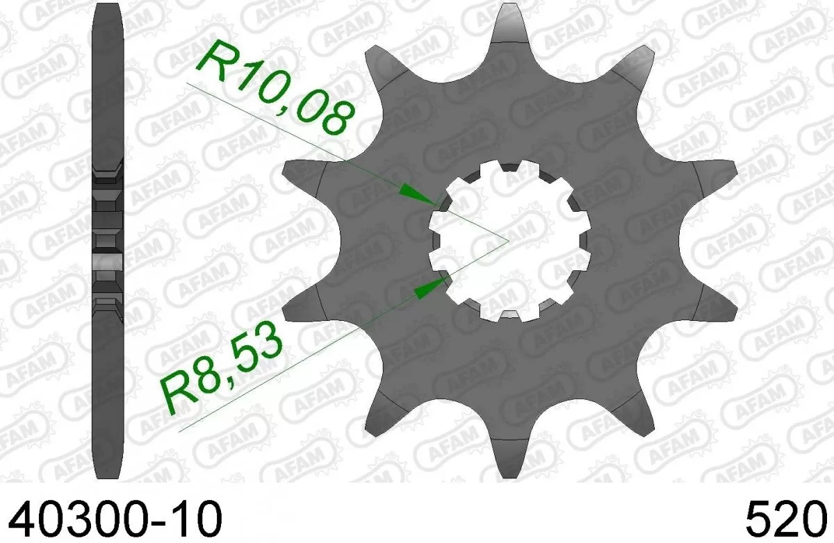 AFAM Sprocket Front 10T - 520