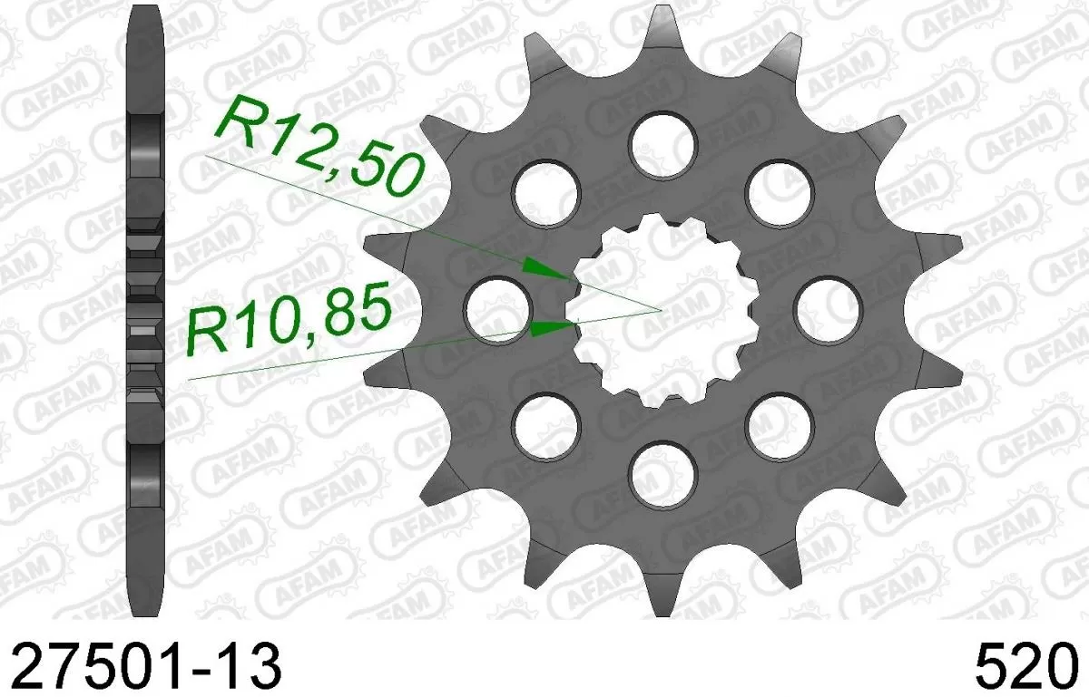 AFAM Sprocket Front 13T - 520