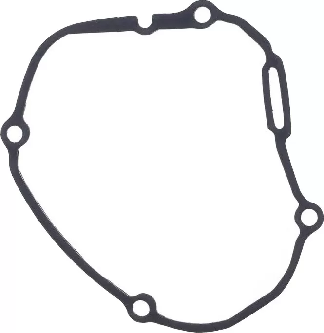 Athena Generator Side Gasket S410485017076