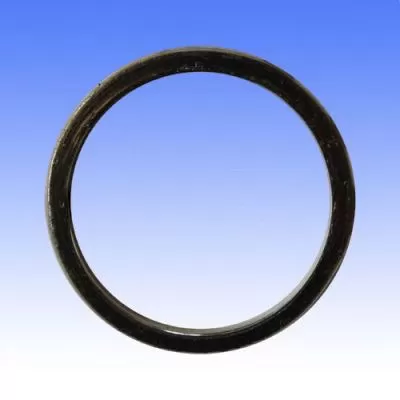 Athena Exhaust Gasket S4 10510012003