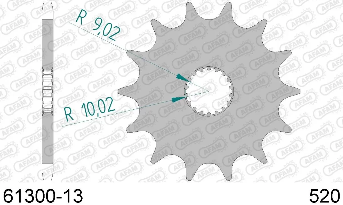 AFAM Sprocket Front 13T - 520