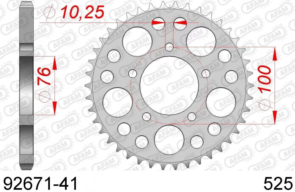 AFAM Sprocket Rear Steel 41T - 525