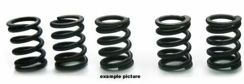 Tourmax Clutch Springs Set HSP-401-5