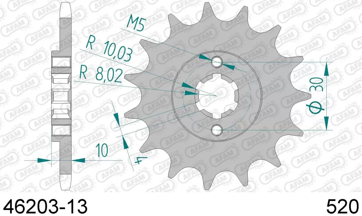 AFAM Sprocket Front 13T - 520