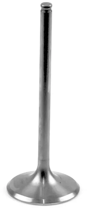 Athena Titanium Intake Valve VI-210202T