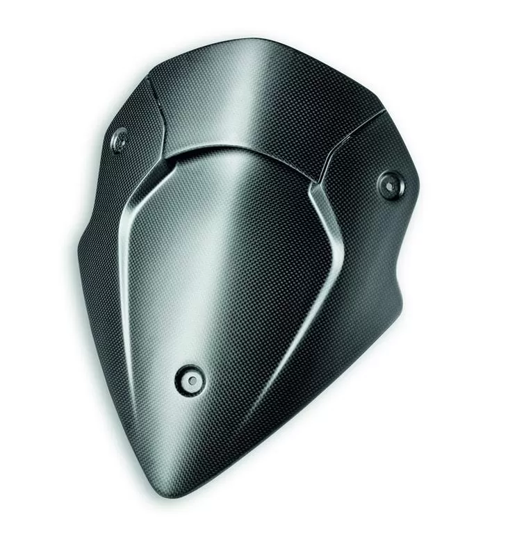 Carbon Headlight Fairing MS