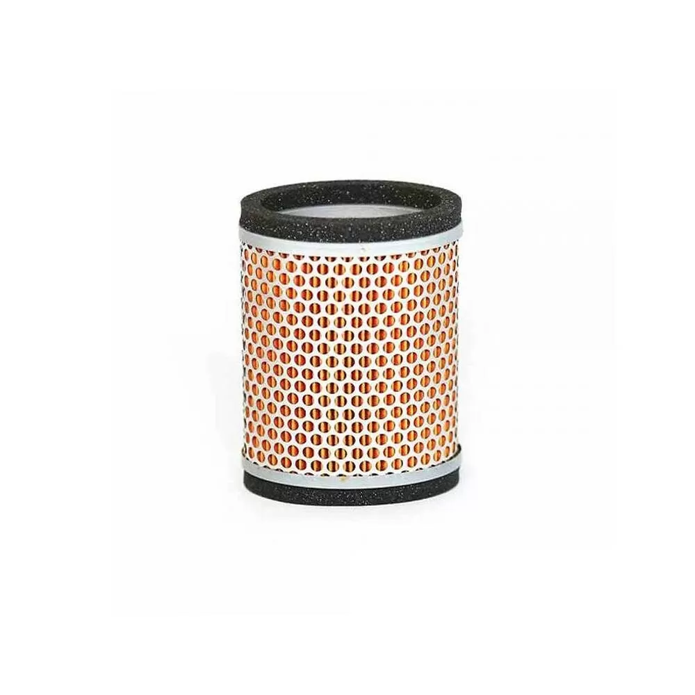 Triumph Air Filter T2209547