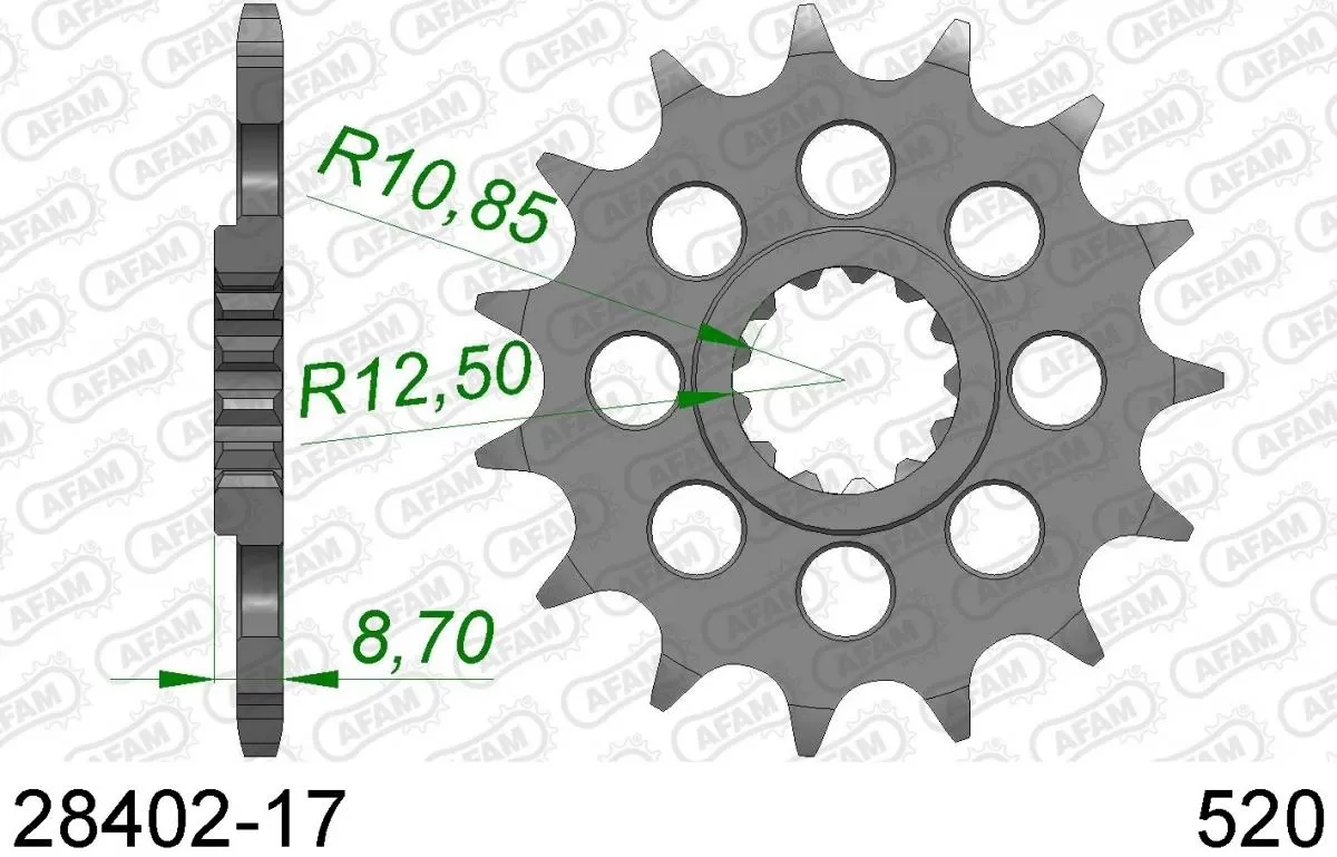 AFAM Sprocket Front 17T - 520