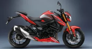 Suzuki Sticker Set Gray/Transparent GSX-S 750 (17-)