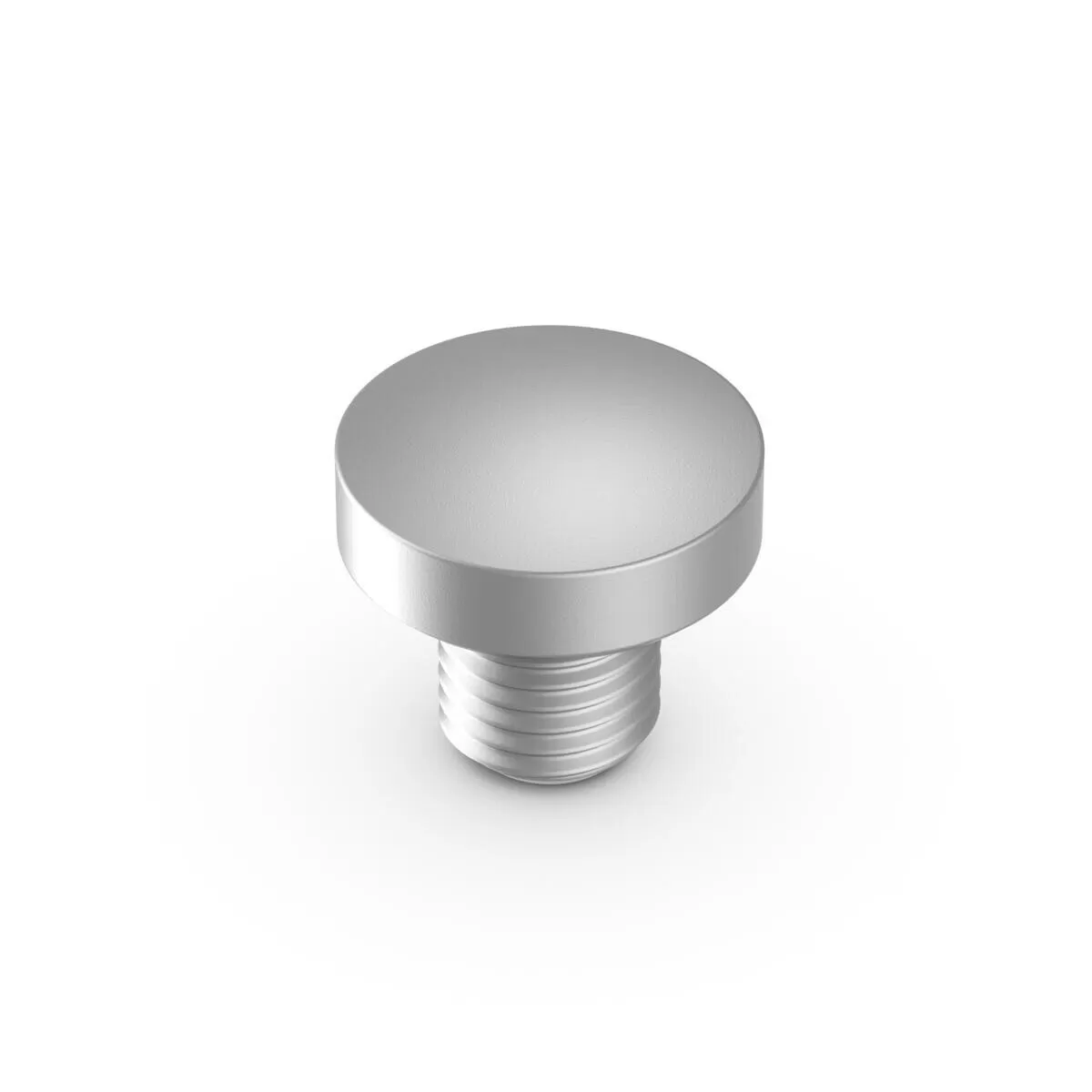 Yamaha Footrest Plug Silver