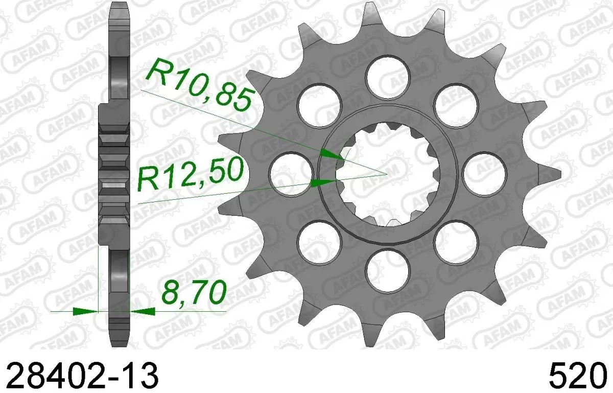 AFAM Sprocket Front 13T - 520