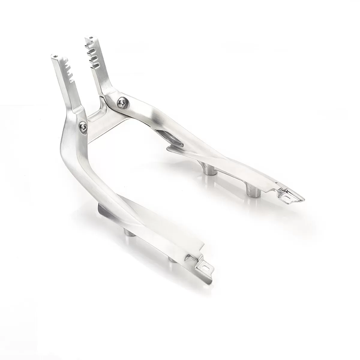 Triumph Adjustable Backrest