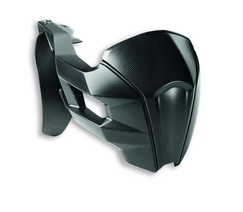 Carbon Rear Splash Guard MS