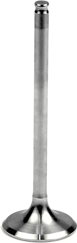 Athena Steel Exhaust Valve VE-210208S