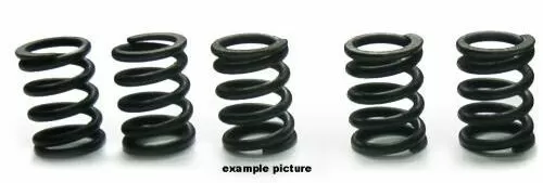 Tourmax Clutch Springs Set HSP-203-5