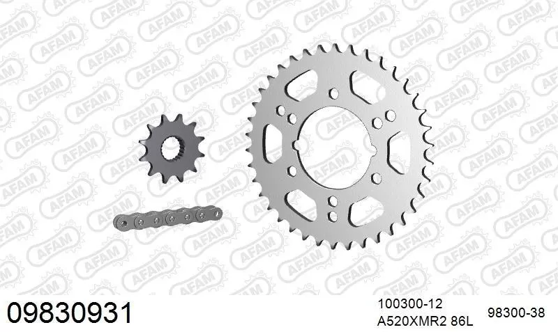 AFAM Chainset - Steel