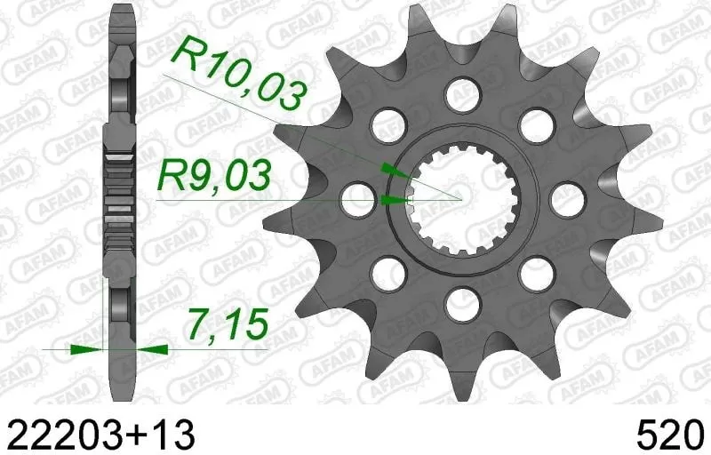 AFAM Sprocket Front 13T - 520