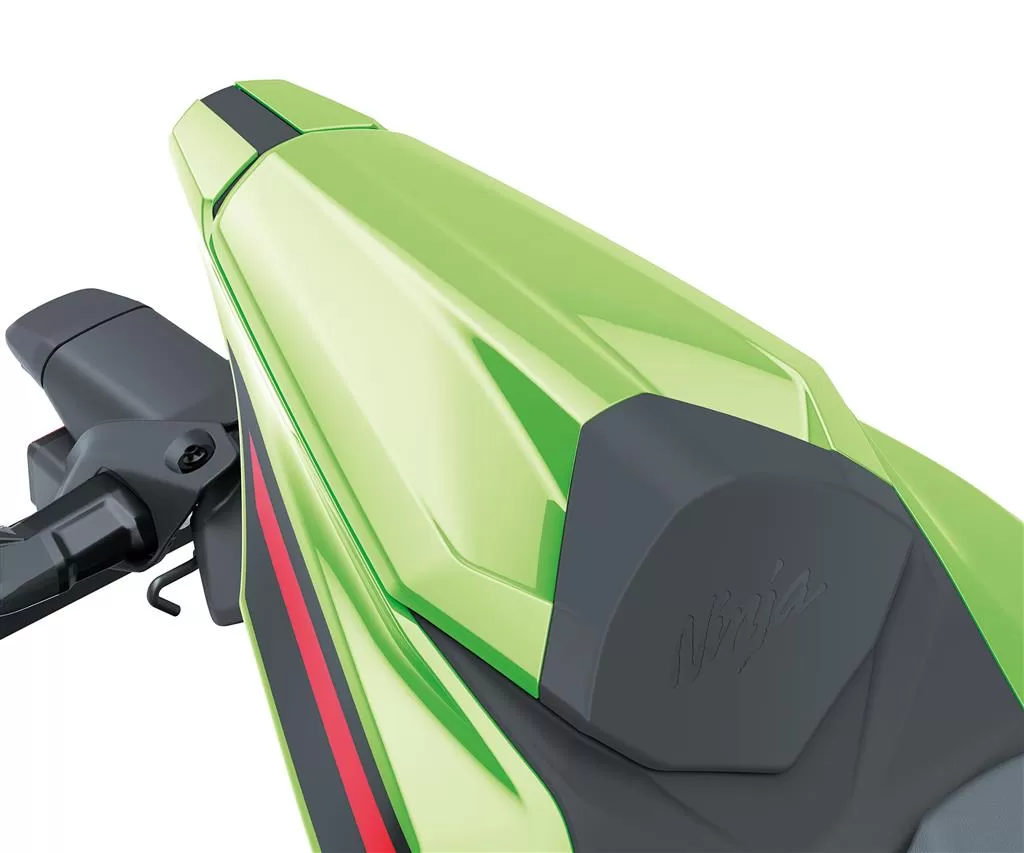 Kawasaki Buddyseat Cover